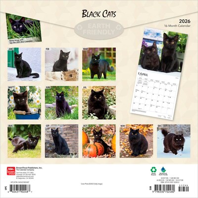 2026 BrownTrout Black Cats 12 x 12 Monthly Wall Calendar (9798330702480)
