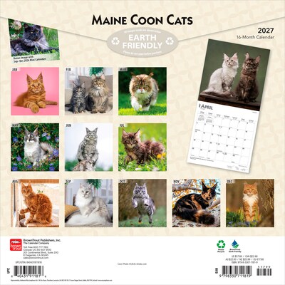 2027 BrownTrout Maine Coon Cats 12 x 12 Monthly Wall Calendar (9798330711819)