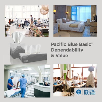 Pacific Blue Basic Facial Tissue, 2-ply, 100 Tissues/Box, 30 Boxes/Pack (47410)