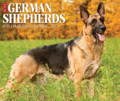 2025 Willow Creek German Shepherds 6" x 5.5" Day-to-Day Calendar, Multicolor (40843)