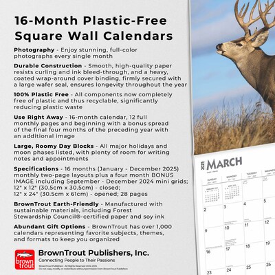 2025 BrownTrout Monster Bucks 12" x 24" Monthly Square Wall Calendar (9781975477448)