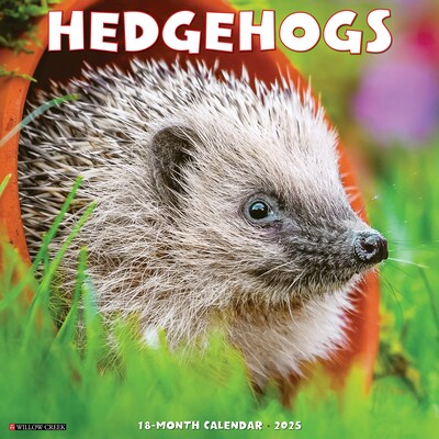 2025 Willow Creek Hedgehogs 12 x 12 Monthly Wall Calendar (43332)