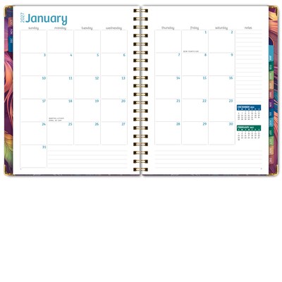 2027 Excello Brands 9" x 11" Weekly & Monthly Standard Planner, Paperboard Cover, Pastel Peacock (FSHN-CY27-8511-61)