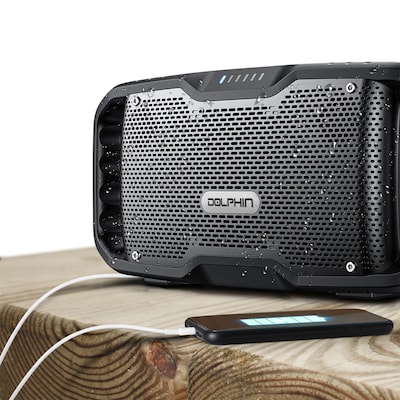 Dolphin Audio SOUNDBYTE 100 Wireless Bluetooth Portable Speaker with Dual 3-In. Woofers & Power Bank, Waterproof, Black (S100)