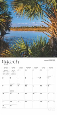 2025 BrownTrout Florida Nature 12" x 24" Monthly Square Wall Calendar, (9781975474805)