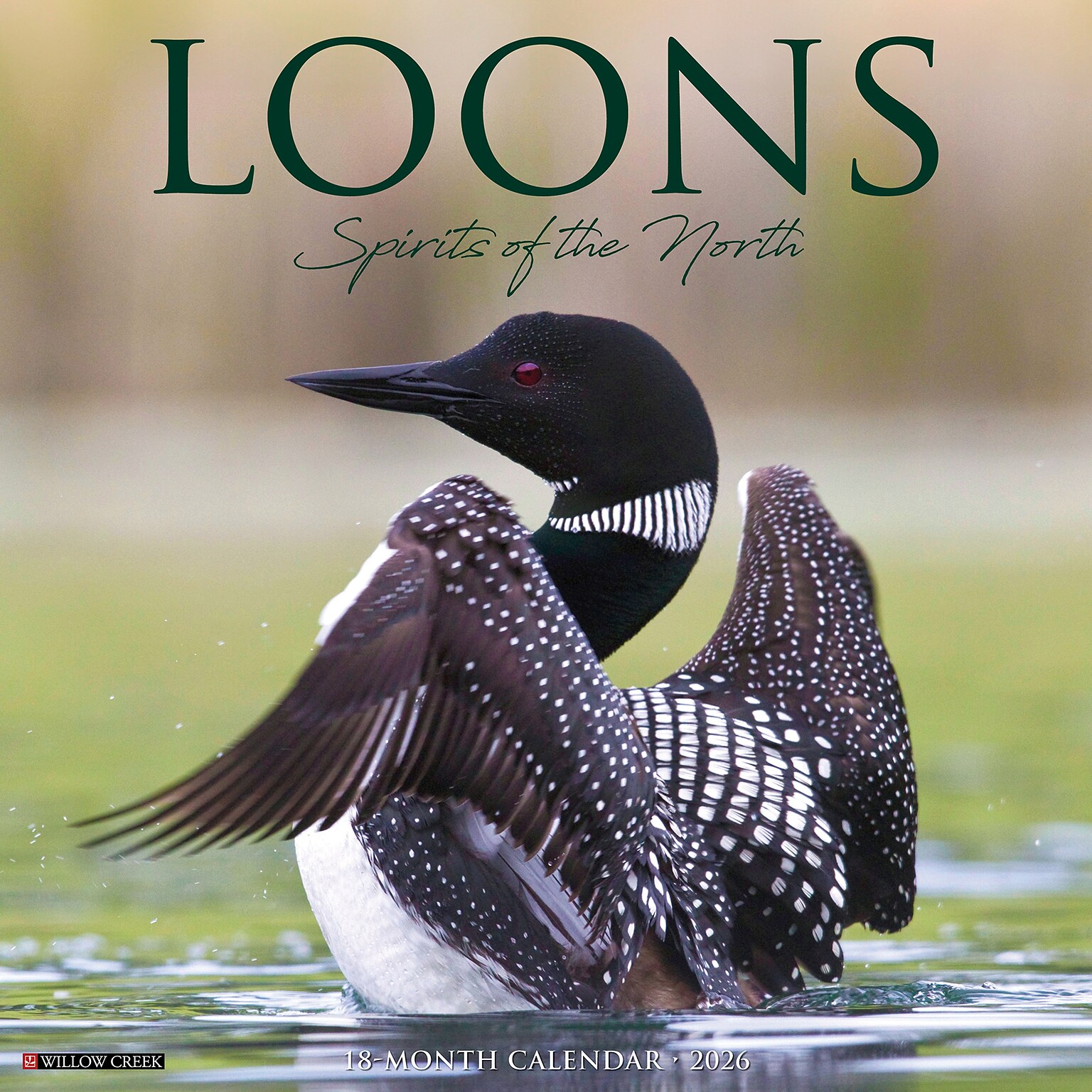 2026 Willow Creek Loons 12 x 12 Monthly Wall Calendar (51832)
