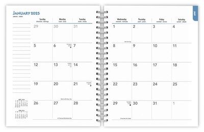 2025 BrownTrout Blue Heelers 6" x 7.75" Weekly Engagement Planner, Paper Cover, Multicolored (9781975483142)
