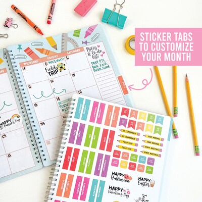 Hadley Designs Undated Pink Teacher Planner and Lesson Plan Book, 8 x 10 (HDDX004557P9V)