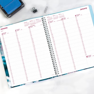 2027 Brownline Nature Cherry Blossoms 8.5" x 11" Weekly Appointment Book (CB950G.03-27)