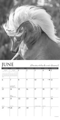 2027 Willow Creek Spirit of the Horse 12" x 12" Monthly Wall Calendar, Assorted Colors (65389)