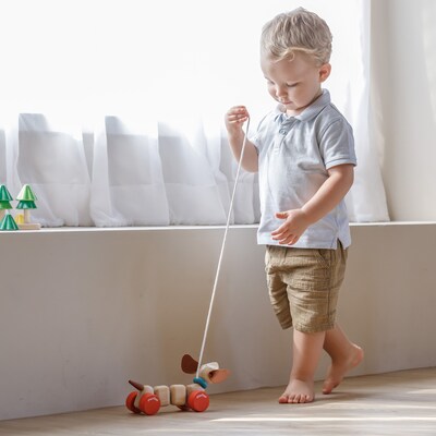 Plan Toys Happy Puppy Wooden Pull Toy, Natural (PTS5101)
