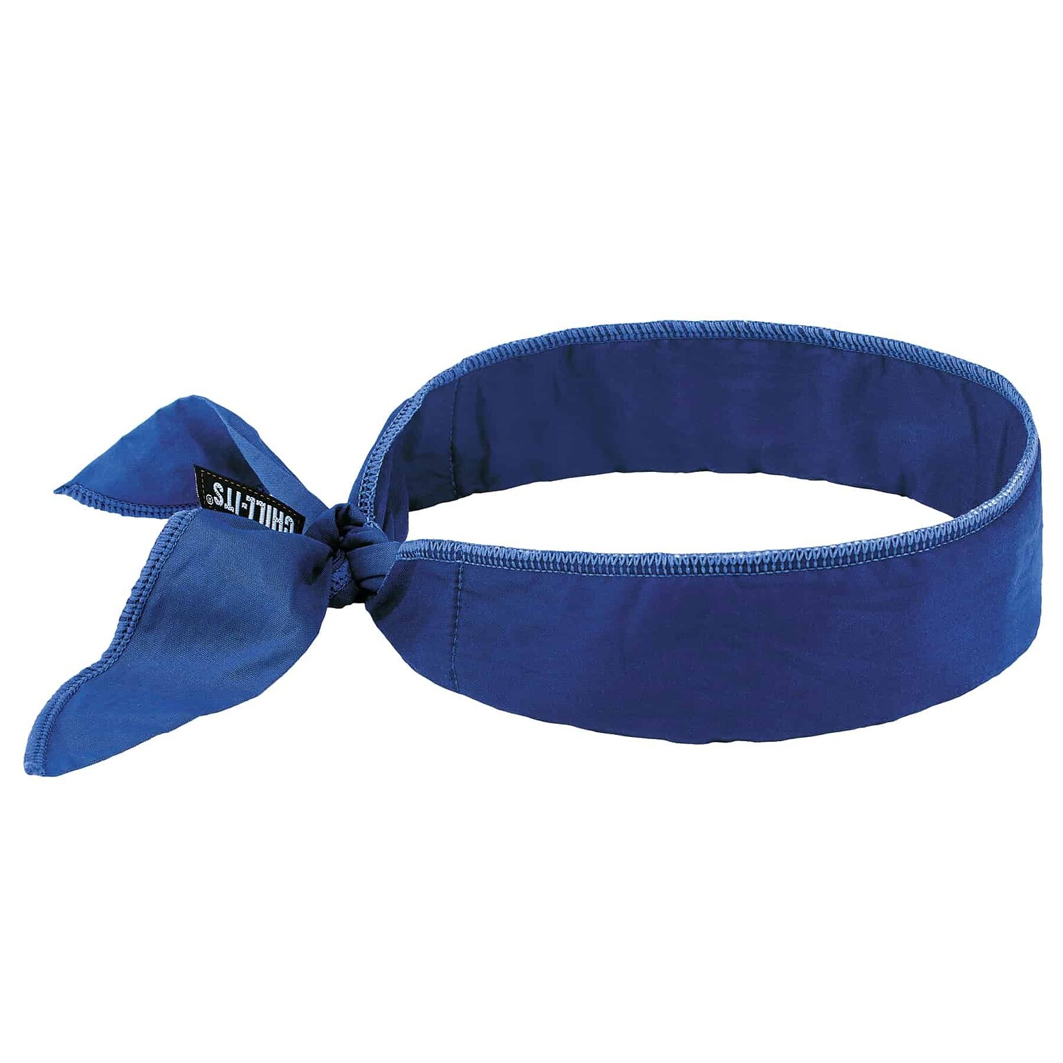 Ergodyne Chill-Its 6700 Cooling Bandana, Blue, One Size (12399)