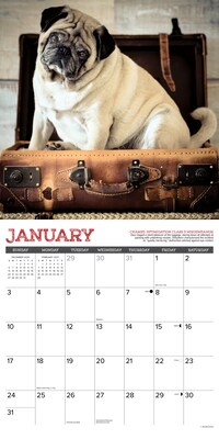 2027 Willow Creek Multi 12" x 12" Monthly Wall Calendar, Assorted Colors (61923)