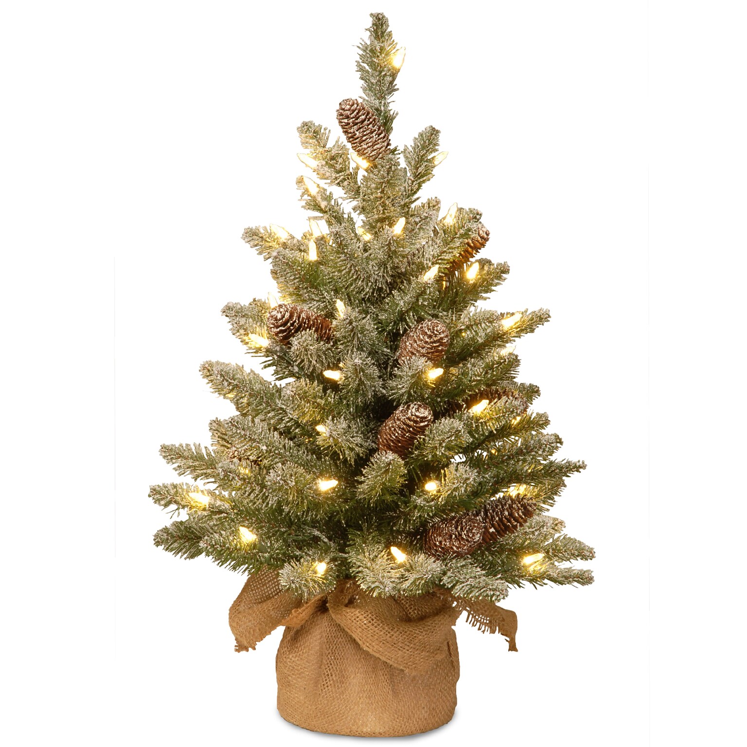 National Tree Company 2 Snowy Concolor Fir Tree with LED Lights (SR1-328-20-B1)