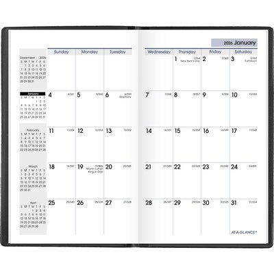 2026 AT-A-GLANCE DayMinder 3.5 x 6 Monthly Planner, Plastic Cover, Black (SK53-00-26)