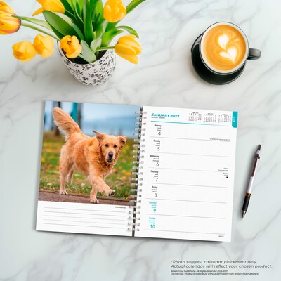 2027 BrownTrout Golden Retrievers 6.5" x 7.8" Calendar Year Weekly Standard Planner, Multicolor (9798330709502)