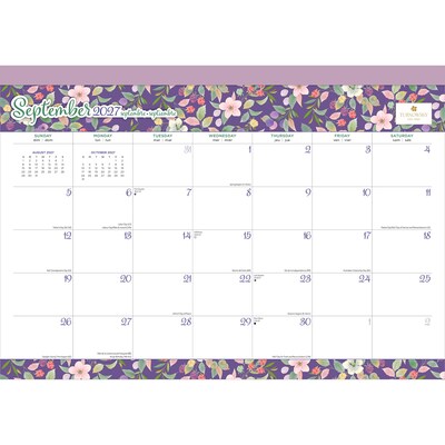 2027 BrownTrout House of Turnowsky 17" x 12" Monthly Desk Pad Calendar, Assorted Colors (9798330713448)