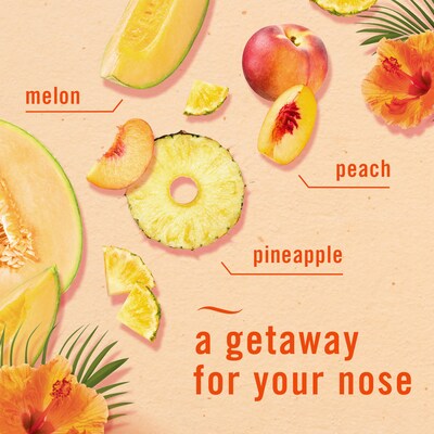 Febreze Fade Defy Plug Air Freshener Warmer Refill, Hawaiian Aloha Scent, 0.87 fl. oz., 3/Pack (54345)