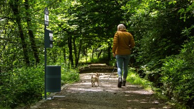 Furloo Steel Outdoor Pet Waste Station Kit with Foot Pedal & Roll Bag Dispenser, 11.5 Gallon, Green (FLO11R-S-G)