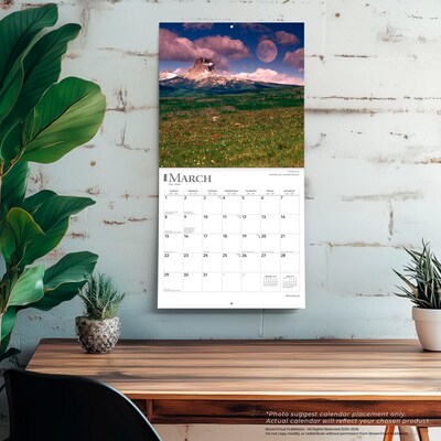 2026 BrownTrout Moonstruck 12" x 12" Monthly Wall Calendar (9798330704705)