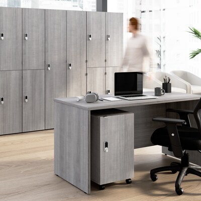 Bush Business Furniture Assure 26H Storage Cabinet, Platinum Gray (AUS116PGSU)