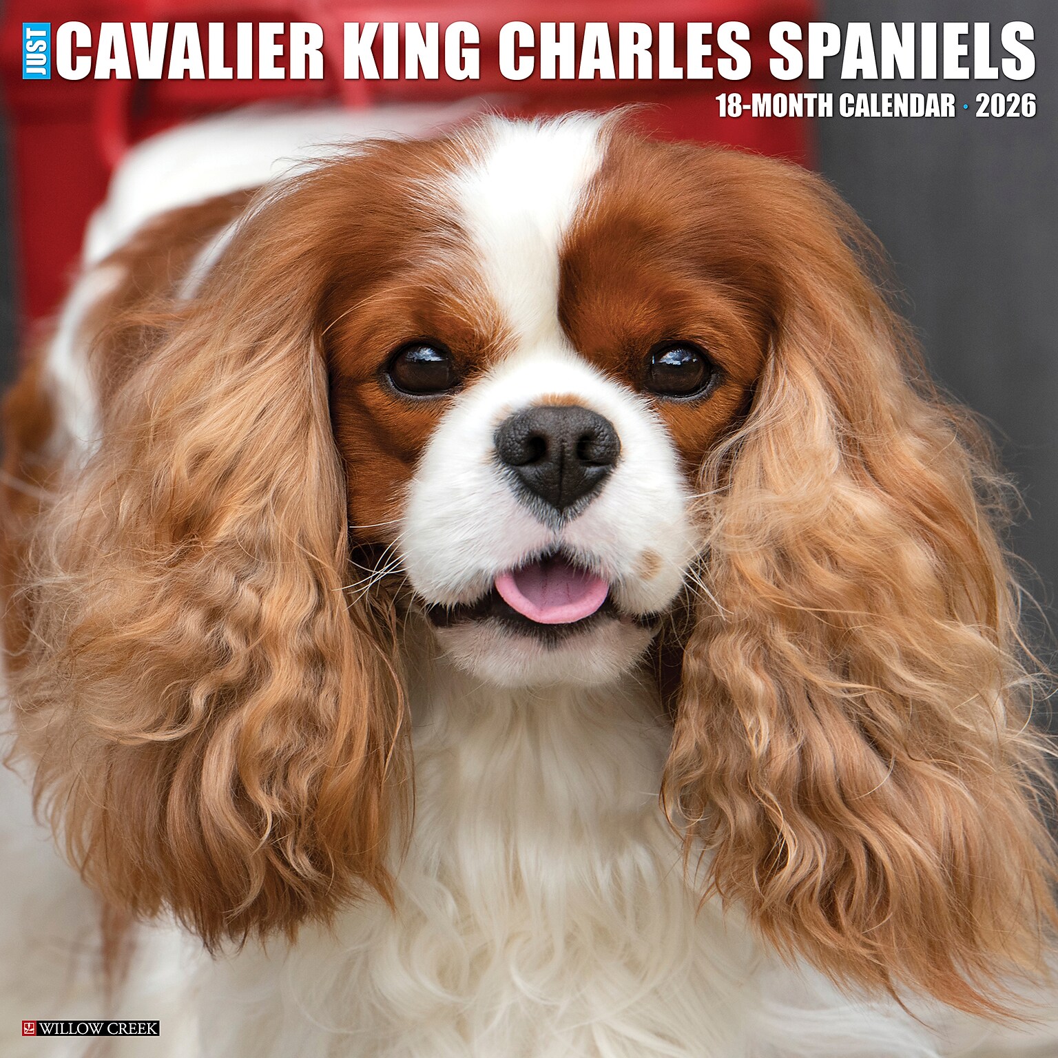 2026 Willow Creek Cavalier King Charles Spaniels 12 x 12 Monthly Wall Calendar (50651)