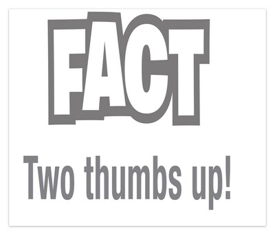 2026 BrownTrout Fact or Crap 6.06" x 5.13" Day-to-Day Calendar (9781645917267)