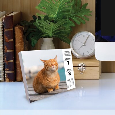 2027 Willow Creek What Cats Teach Us 5.4" x 6.2" Day-to-Day Calendar (63828)