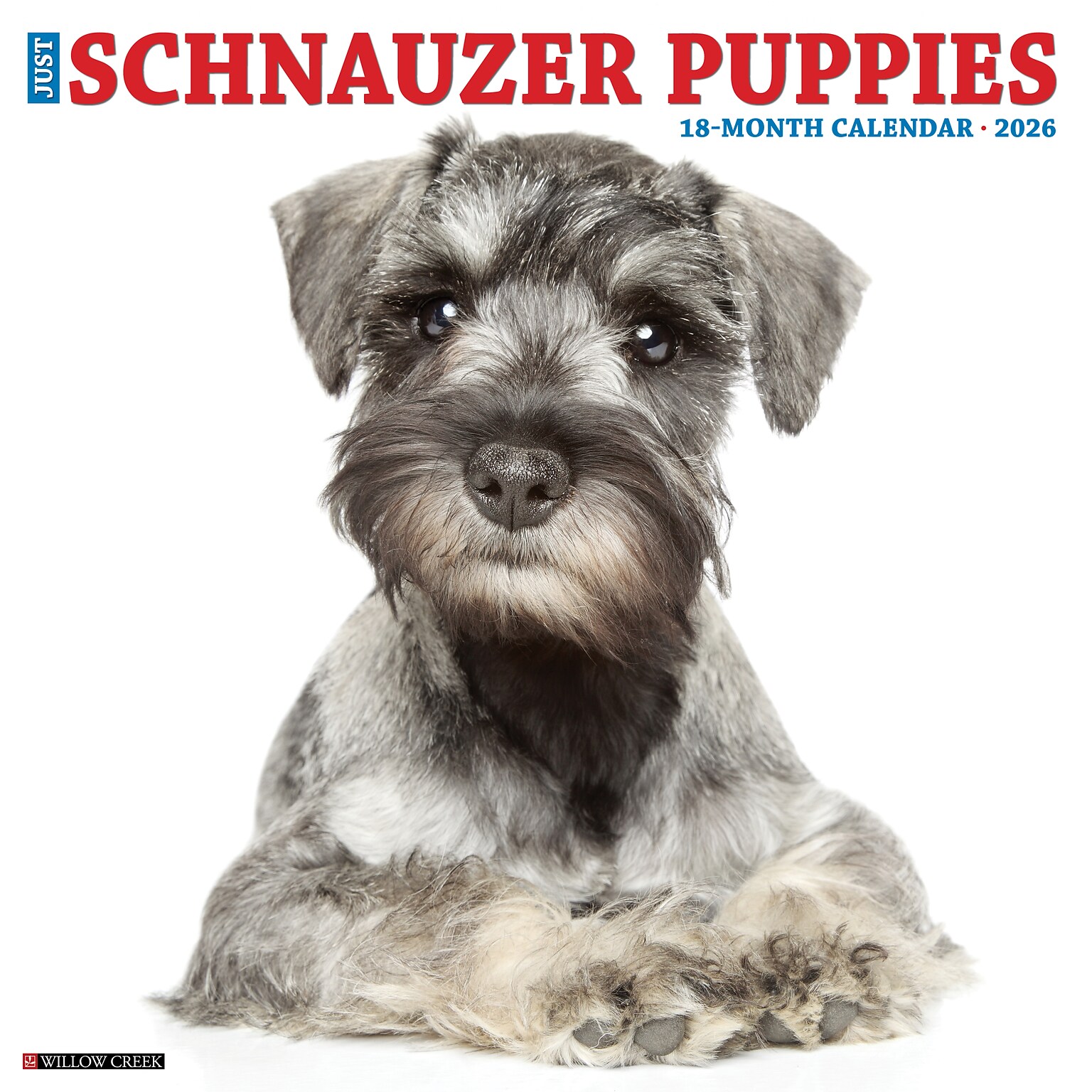 2026 Willow Creek Schnauzer Puppies 12 x 12 Monthly Wall Calendar (52679)