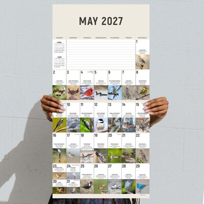 2027 TF Publishing Birds: Backyard and Beyond 12" x 12" Monthly Wall Calendar, Multicolored (27-1121)