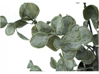 Monarch Specialties Inc. Eucalyptus in Pot (I 9562)