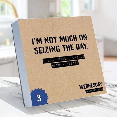 2027 TF Publishing Anti Affirmations 4.25" x 5.25" Daily Day-to-Day Calendar, Multicolored (27-3000)