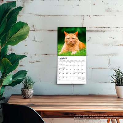 2026 BrownTrout Cat Lovers 7" x 7" Monthly Wall Calendar (9798330702770)