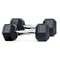 WeCare Fitness Rubber-Coated Chrome Handle 20 Lbs Dumbbells, 2/Set (WDN100013)