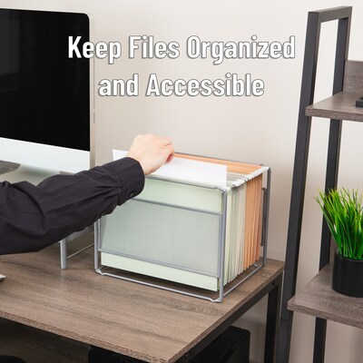 Mind Reader Metal File Organizer, Silver (BOXFILE-SIL)