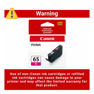 Canon 65 M Magenta Standard Yield Ink Cartridge (4217C002)