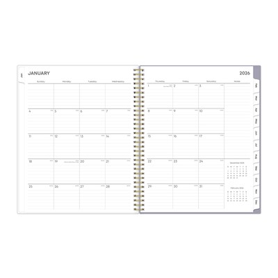 2026 Blue Sky Tula 8.5" x 11"  Weekly & Monthly Planner, Plastic Cover, Multicolored (143971-26)