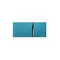 Samsill Earth's Choice 2" 3-Ring Fashion View Binder, Turquoise, 2/Pack (SAMU86677)