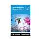 Adobe Photoshop Elements 2024 Photo Editing Software for Windows, 1 User [Download]