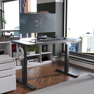 FlexiSpot E2 48''W Electric Adjustable Standing Desk, Black (E2B4824B)
