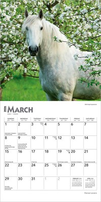 2026 BrownTrout Horse Lovers 7" x 7" Monthly Wall Calendar (9798330703708)