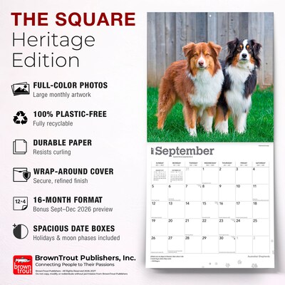 2027 BrownTrout Australian Shepherds 12" x 12" Monthly Wall Calendar (9798330712205)