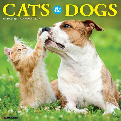 2027 Willow Creek Cats & Dogs 12 x 12 Monthly Wall Calendar, Assorted Colors (59579)