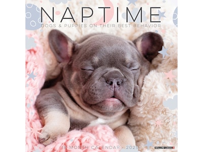 2025 Willow Creek Naptime: Dogs & Puppies on Their Best Behavior 12 x 12 Monthly Wall Calendar (44