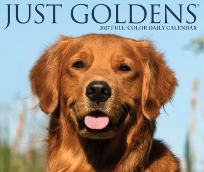 2027 Willow Creek Goldens 5.4" x 6.2" Day-to-Day Calendar (63491)