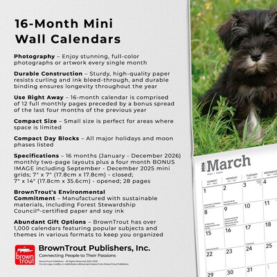 2026 BrownTrout Schnauzer Puppies 7" x 7" Monthly Wall Calendar (9798330705436)