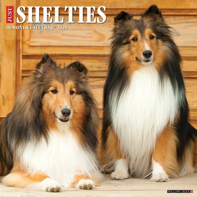2025 Willow Creek Just Shelties 12 x 12 Monthly Wall Calendar (44841)