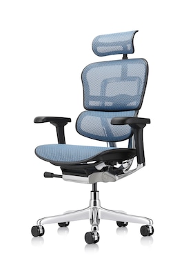 Eurotech Ergohuman Gen2 High Back Mesh Office Chair w/ Headrest, Blue (ME7ERG-GEN2-BLU)