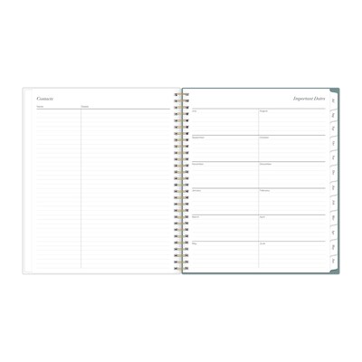 2026-2027 Blue Sky Vineyard 8" x 10" Academic Year Daily & Monthly Planner, Plastic Cover, Green/Pink (157559)