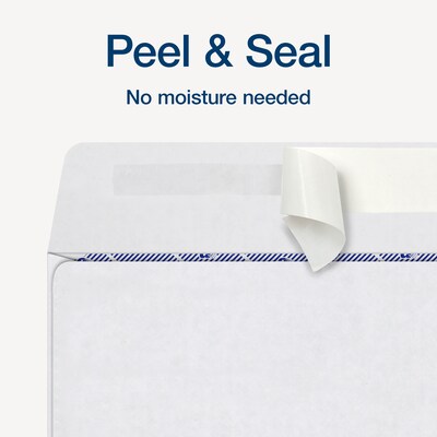 Adams 2025 1099 Tax Envelopes, 3-Up Format, Double-Window, Security Tinted, Peel & Seal, White, 25/Pack (STAX3-25)